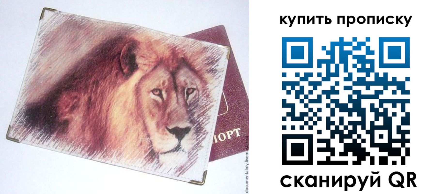 прописка паспорт в Ковылкино